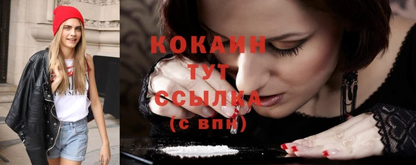 прущий лед Алексин