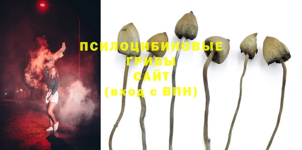 гашик Алексеевка