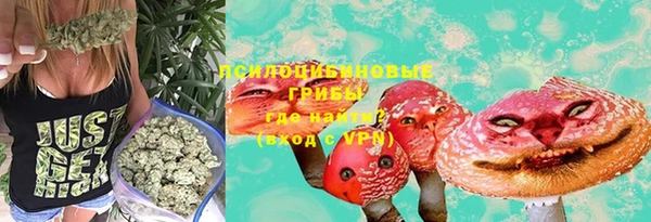 прущий лед Алексин
