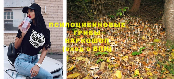 гашик Алексеевка