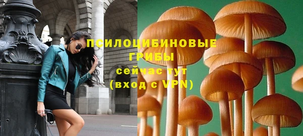 прущий лед Алексин