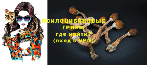 прущий лед Алексин