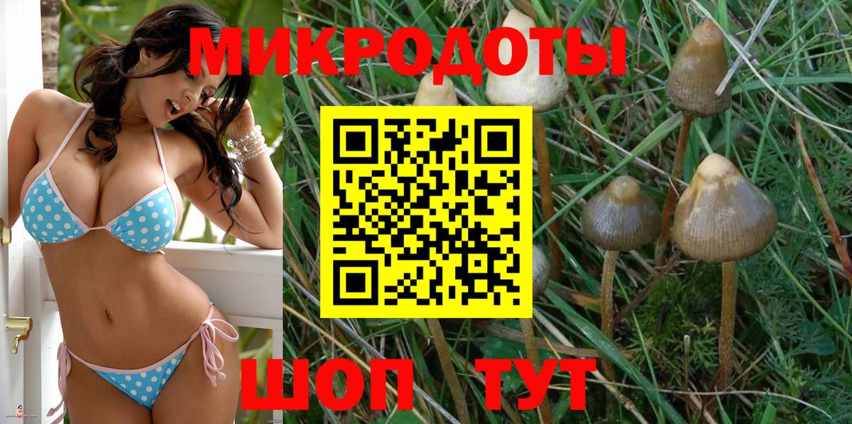 Галлюциногенные грибы мухоморы Миллерово